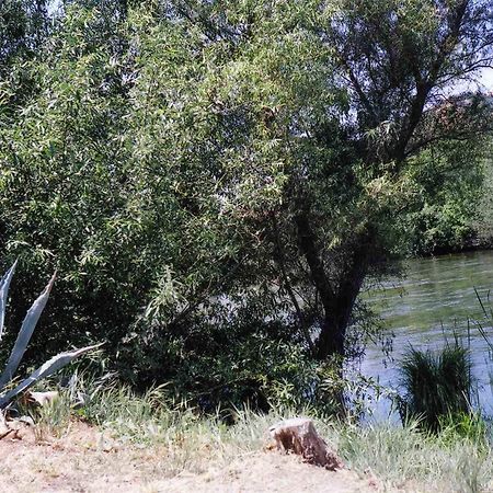 Sequoia Riverfront Cabins Three Rivers Bagian luar foto