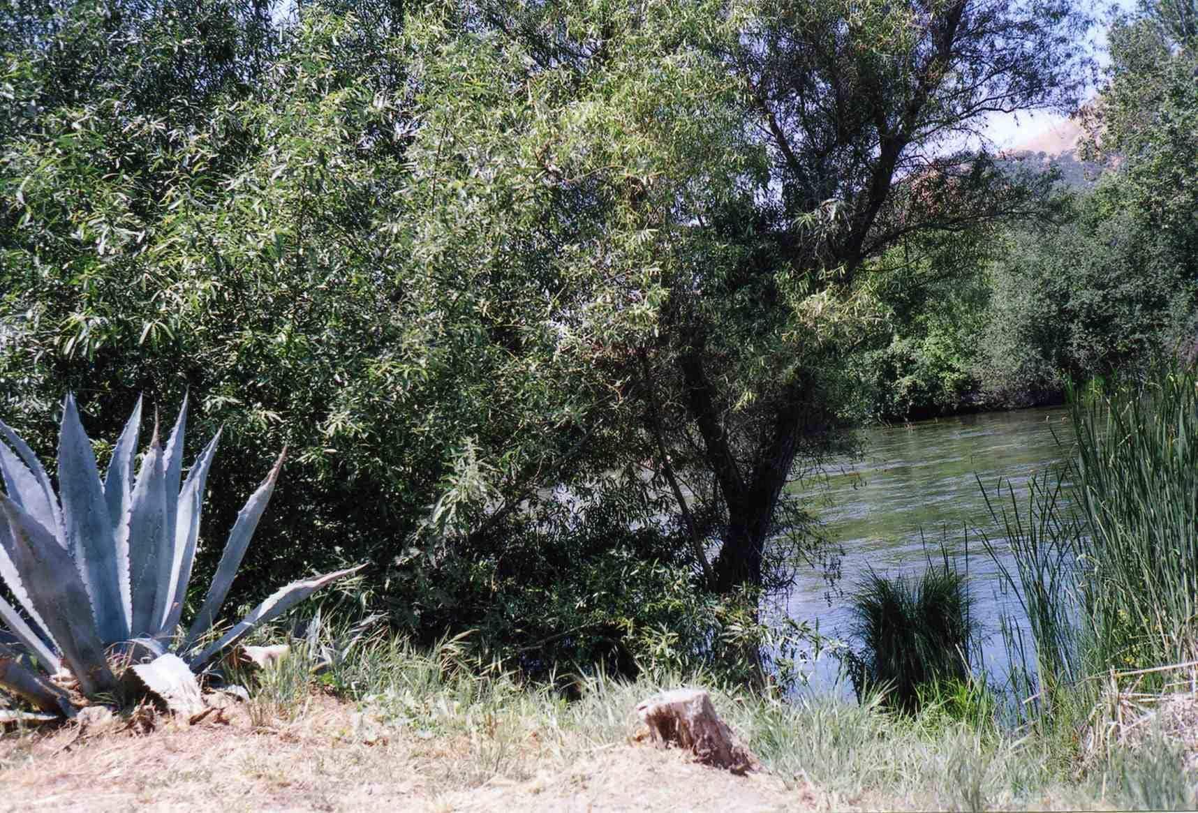 Sequoia Riverfront Cabins Three Rivers Bagian luar foto