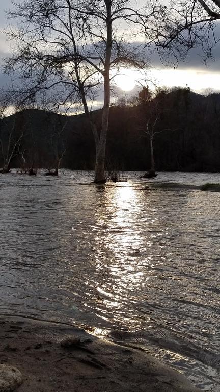 Sequoia Riverfront Cabins Three Rivers Bagian luar foto