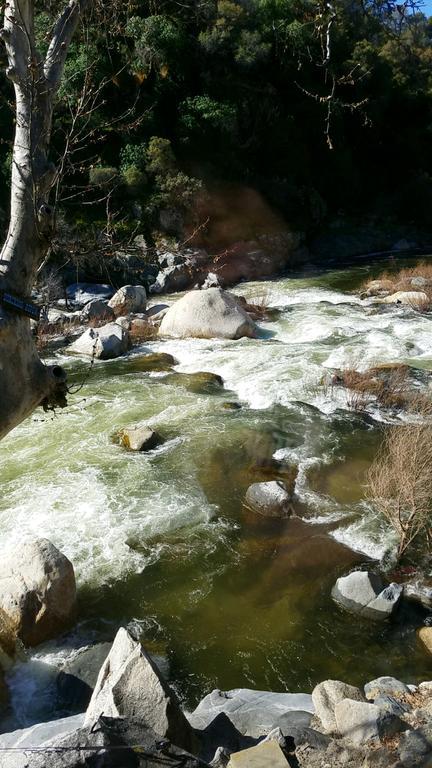 Sequoia Riverfront Cabins Three Rivers Bagian luar foto